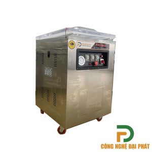 Máy hút chân không DZQ-500 (ĐGĐP-B19)